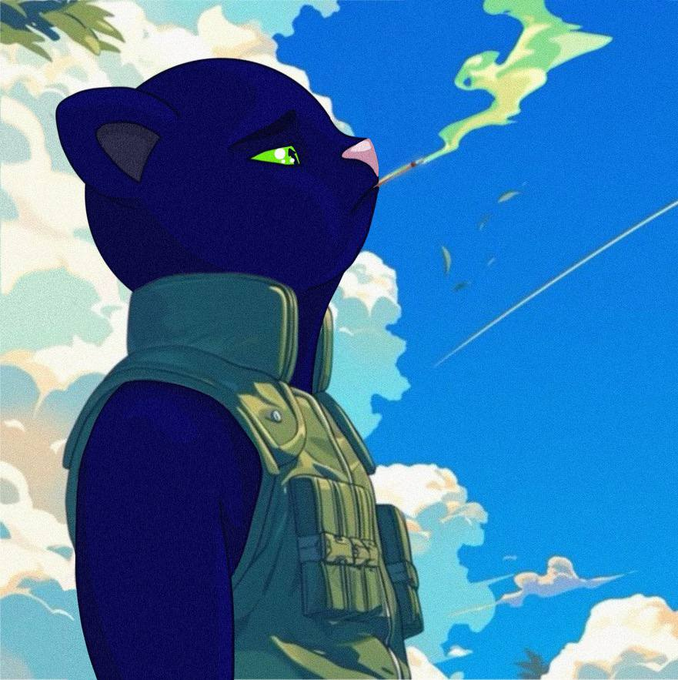 Purrcaso - The Artist